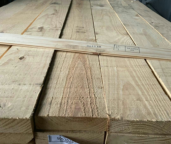 留坝阿根廷松木